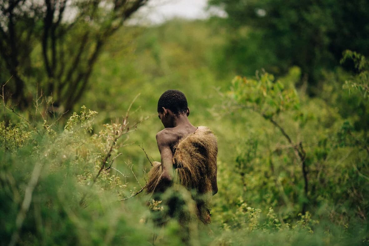 Young hunter seen from behind moving through dense green bush, a tawny fur cape slung over one shoulder