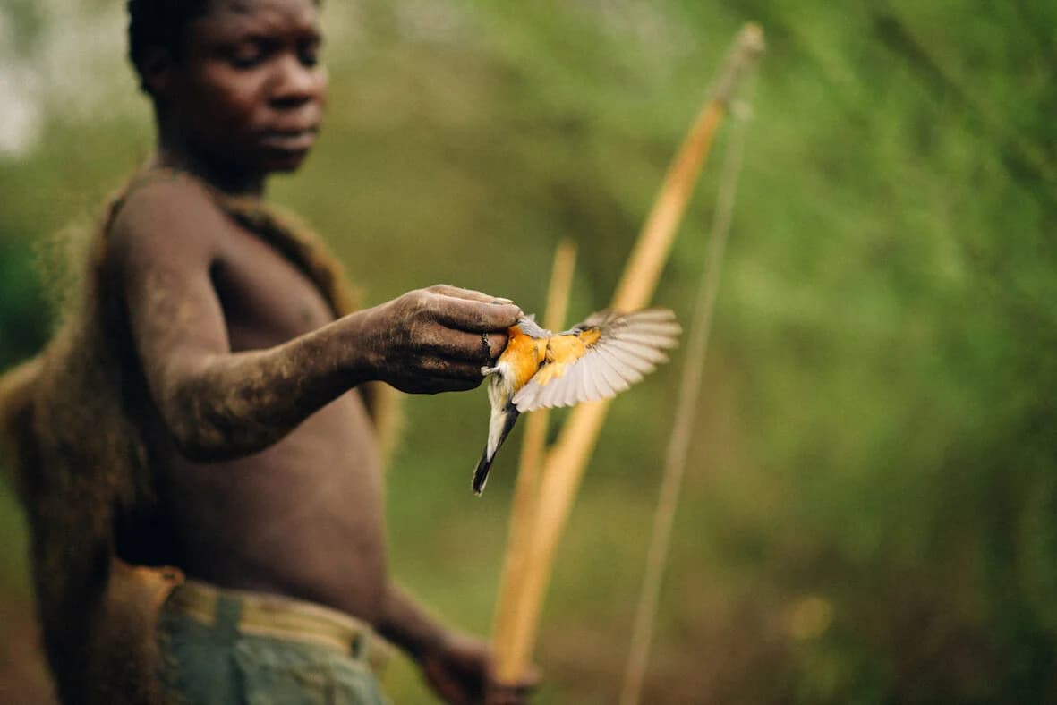Hunter holding up a small captured bird with an orange breast and outstretched wing, his wooden bow standing beside him